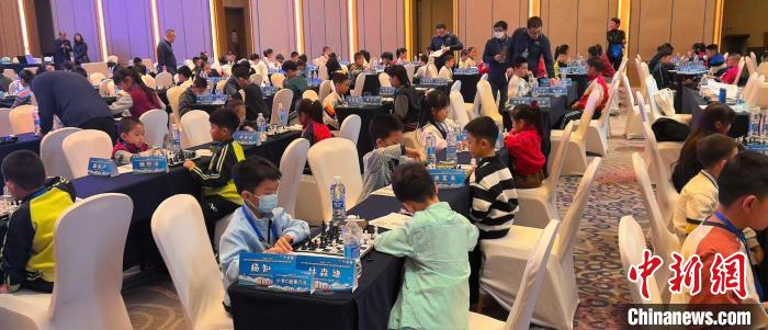哈尔滨站开赛 全国国际象棋校际联赛吸引21校1