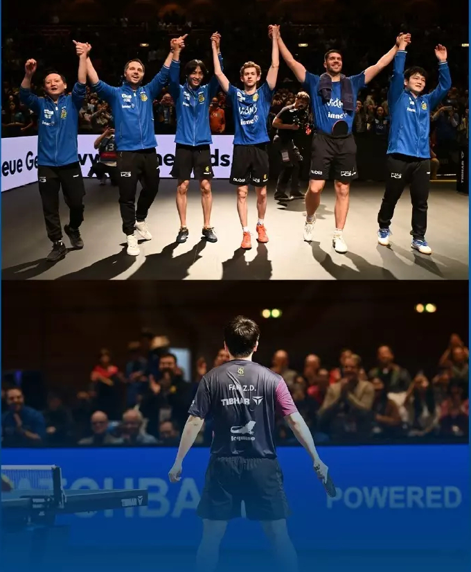 樊振东转会杜塞尔多夫萨尔布吕肯俱乐部感慨不